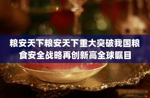 粮安天下粮安天下重大突破我国粮食安全战略再创新高全球瞩目