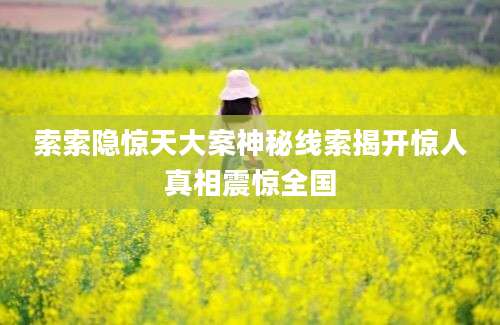 索索隐惊天大案神秘线索揭开惊人真相震惊全国