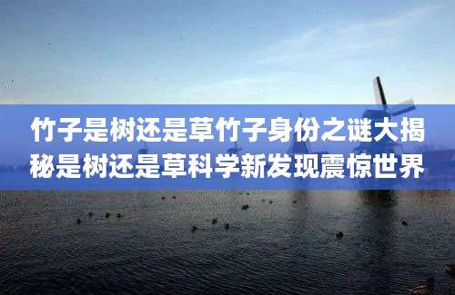 竹子是树还是草竹子身份之谜大揭秘是树还是草科学新发现震惊世界