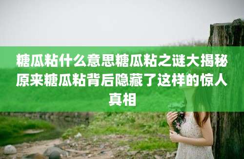 糖瓜粘什么意思糖瓜粘之谜大揭秘原来糖瓜粘背后隐藏了这样的惊人真相