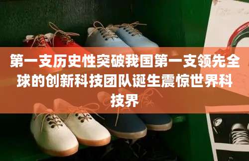 第一支历史性突破我国第一支领先全球的创新科技团队诞生震惊世界科技界