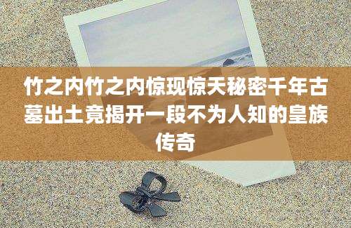 竹之内竹之内惊现惊天秘密千年古墓出土竟揭开一段不为人知的皇族传奇
