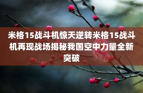 米格15战斗机惊天逆转米格15战斗机再现战场揭秘我国空中力量全新突破