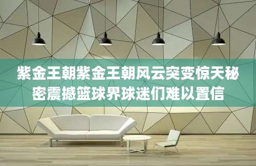 紫金王朝紫金王朝风云突变惊天秘密震撼篮球界球迷们难以置信