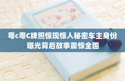 粤c粤C牌照惊现惊人秘密车主身份曝光背后故事震惊全国