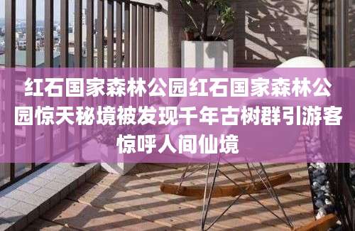红石国家森林公园红石国家森林公园惊天秘境被发现千年古树群引游客惊呼人间仙境