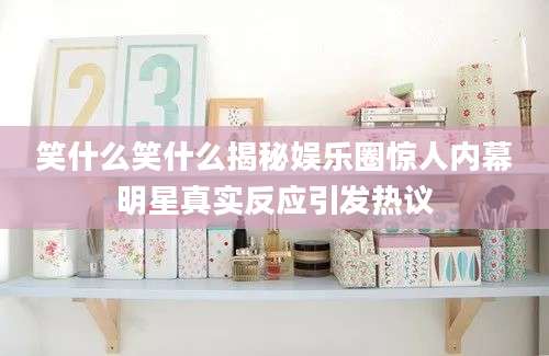 笑什么笑什么揭秘娱乐圈惊人内幕明星真实反应引发热议