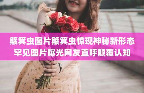 簸箕虫图片簸箕虫惊现神秘新形态罕见图片曝光网友直呼颠覆认知