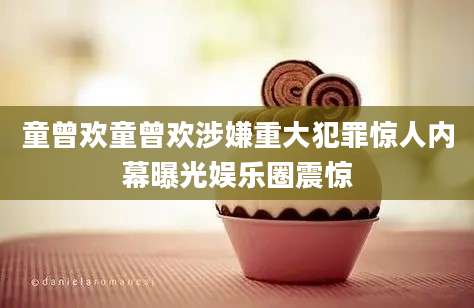 童曾欢童曾欢涉嫌重大犯罪惊人内幕曝光娱乐圈震惊
