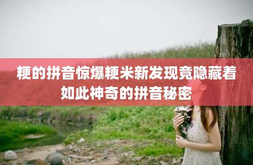 粳的拼音惊爆粳米新发现竟隐藏着如此神奇的拼音秘密