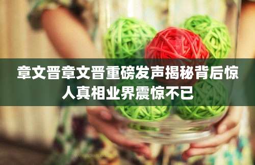 章文晋章文晋重磅发声揭秘背后惊人真相业界震惊不已
