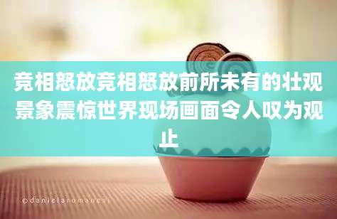 竞相怒放竞相怒放前所未有的壮观景象震惊世界现场画面令人叹为观止