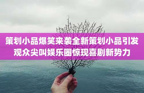 策划小品爆笑来袭全新策划小品引发观众尖叫娱乐圈惊现喜剧新势力