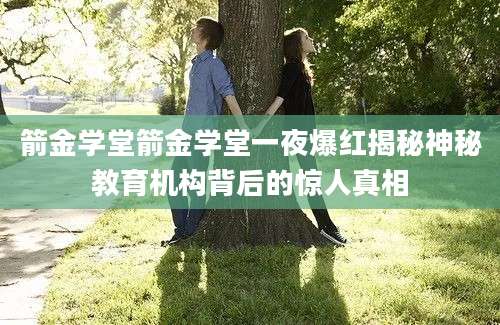 箭金学堂箭金学堂一夜爆红揭秘神秘教育机构背后的惊人真相