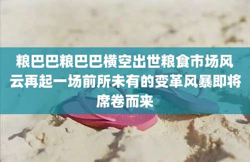 粮巴巴粮巴巴横空出世粮食市场风云再起一场前所未有的变革风暴即将席卷而来