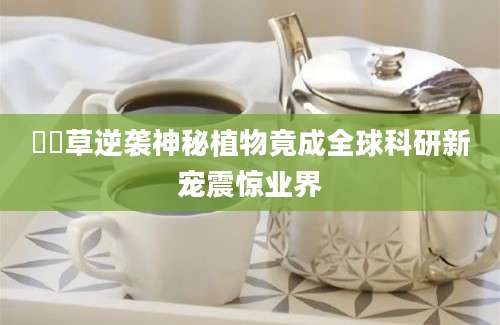 簕簕草逆袭神秘植物竟成全球科研新宠震惊业界