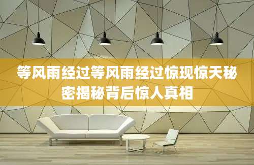 等风雨经过等风雨经过惊现惊天秘密揭秘背后惊人真相