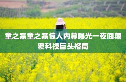 童之磊童之磊惊人内幕曝光一夜间颠覆科技巨头格局