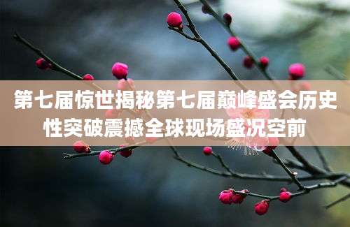 第七届惊世揭秘第七届巅峰盛会历史性突破震撼全球现场盛况空前
