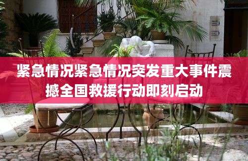 紧急情况紧急情况突发重大事件震撼全国救援行动即刻启动
