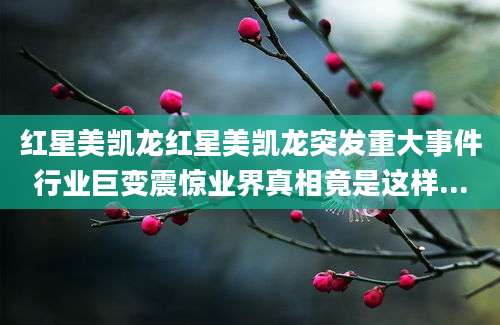 红星美凯龙红星美凯龙突发重大事件行业巨变震惊业界真相竟是这样...