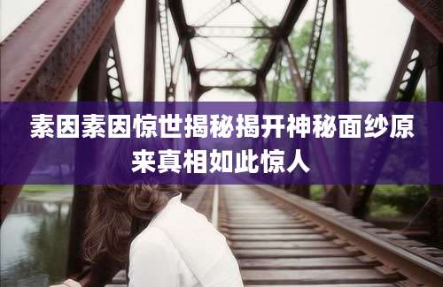 素因素因惊世揭秘揭开神秘面纱原来真相如此惊人