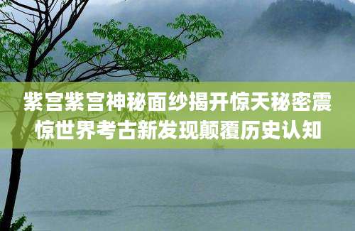 紫宫紫宫神秘面纱揭开惊天秘密震惊世界考古新发现颠覆历史认知