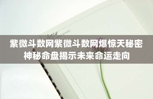 紫微斗数网紫微斗数网爆惊天秘密神秘命盘揭示未来命运走向