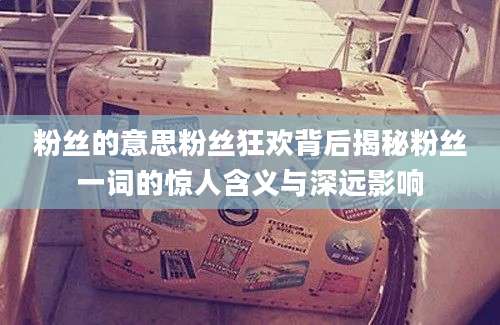 粉丝的意思粉丝狂欢背后揭秘粉丝一词的惊人含义与深远影响