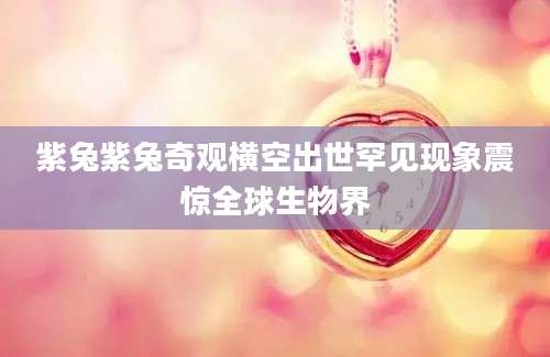 紫兔紫兔奇观横空出世罕见现象震惊全球生物界