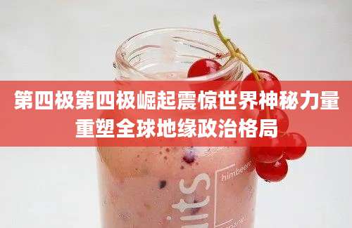 第四极第四极崛起震惊世界神秘力量重塑全球地缘政治格局