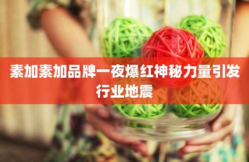 素加素加品牌一夜爆红神秘力量引发行业地震