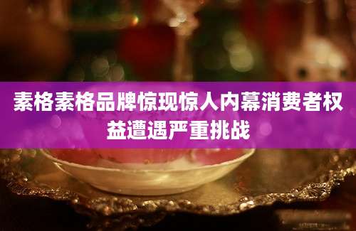 素格素格品牌惊现惊人内幕消费者权益遭遇严重挑战