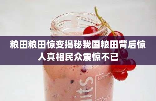 粮田粮田惊变揭秘我国粮田背后惊人真相民众震惊不已