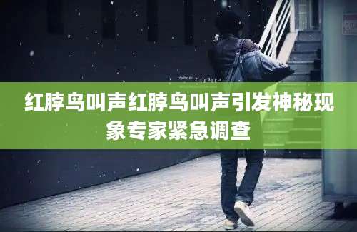 红脖鸟叫声红脖鸟叫声引发神秘现象专家紧急调查