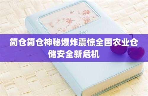 简仓简仓神秘爆炸震惊全国农业仓储安全新危机