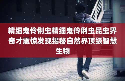 精细鬼伶俐虫精细鬼伶俐虫昆虫界奇才震惊发现揭秘自然界顶级智慧生物