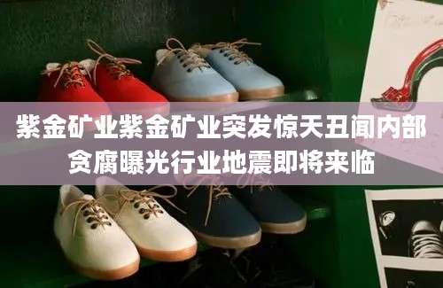 紫金矿业紫金矿业突发惊天丑闻内部贪腐曝光行业地震即将来临