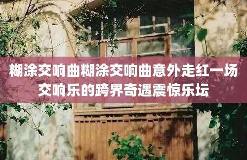 糊涂交响曲糊涂交响曲意外走红一场交响乐的跨界奇遇震惊乐坛