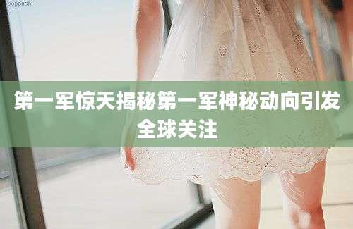 第一军惊天揭秘第一军神秘动向引发全球关注