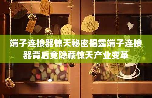端子连接器惊天秘密揭露端子连接器背后竟隐藏惊天产业变革