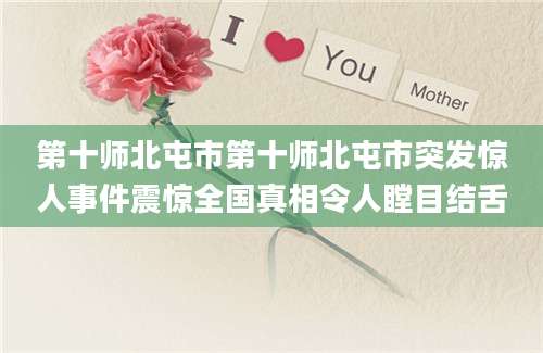 第十师北屯市第十师北屯市突发惊人事件震惊全国真相令人瞠目结舌