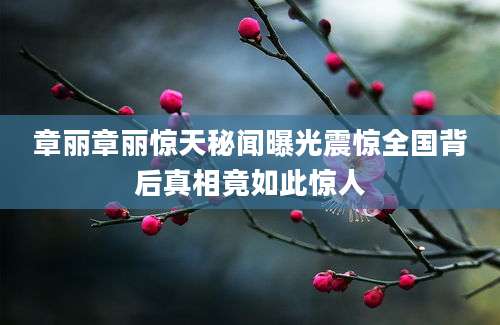 章丽章丽惊天秘闻曝光震惊全国背后真相竟如此惊人