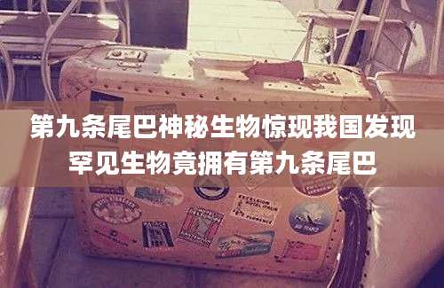 第九条尾巴神秘生物惊现我国发现罕见生物竟拥有第九条尾巴
