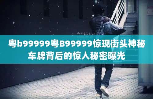 粤b99999粤B99999惊现街头神秘车牌背后的惊人秘密曝光