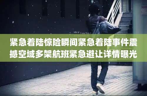 紧急着陆惊险瞬间紧急着陆事件震撼空域多架航班紧急避让详情曝光