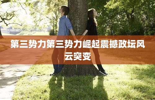 第三势力第三势力崛起震撼政坛风云突变