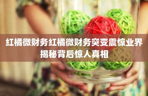 红橘微财务红橘微财务突变震惊业界揭秘背后惊人真相