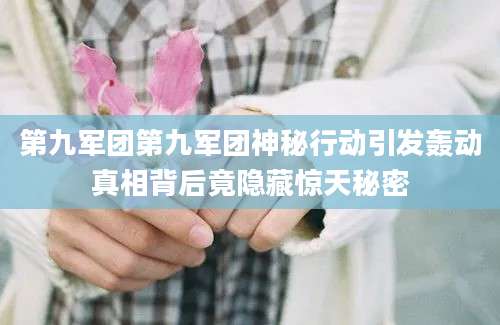第九军团第九军团神秘行动引发轰动真相背后竟隐藏惊天秘密