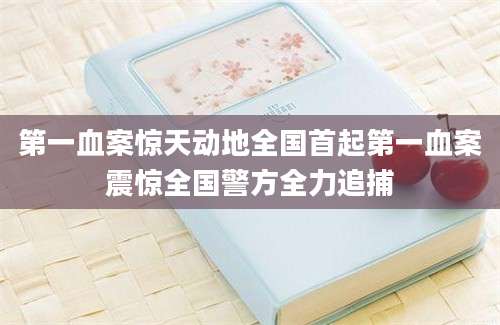 第一血案惊天动地全国首起第一血案震惊全国警方全力追捕